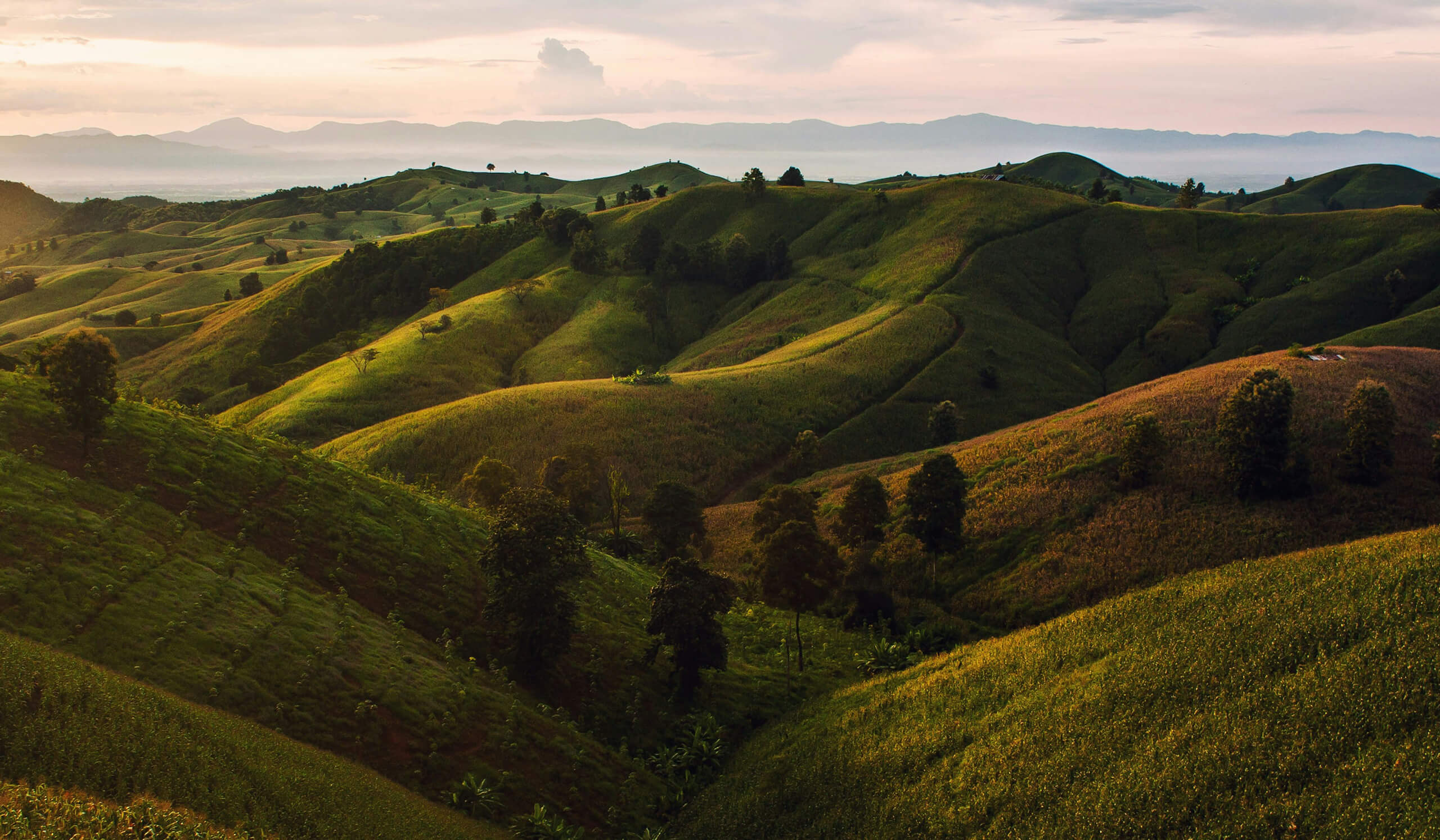 Image with landscape