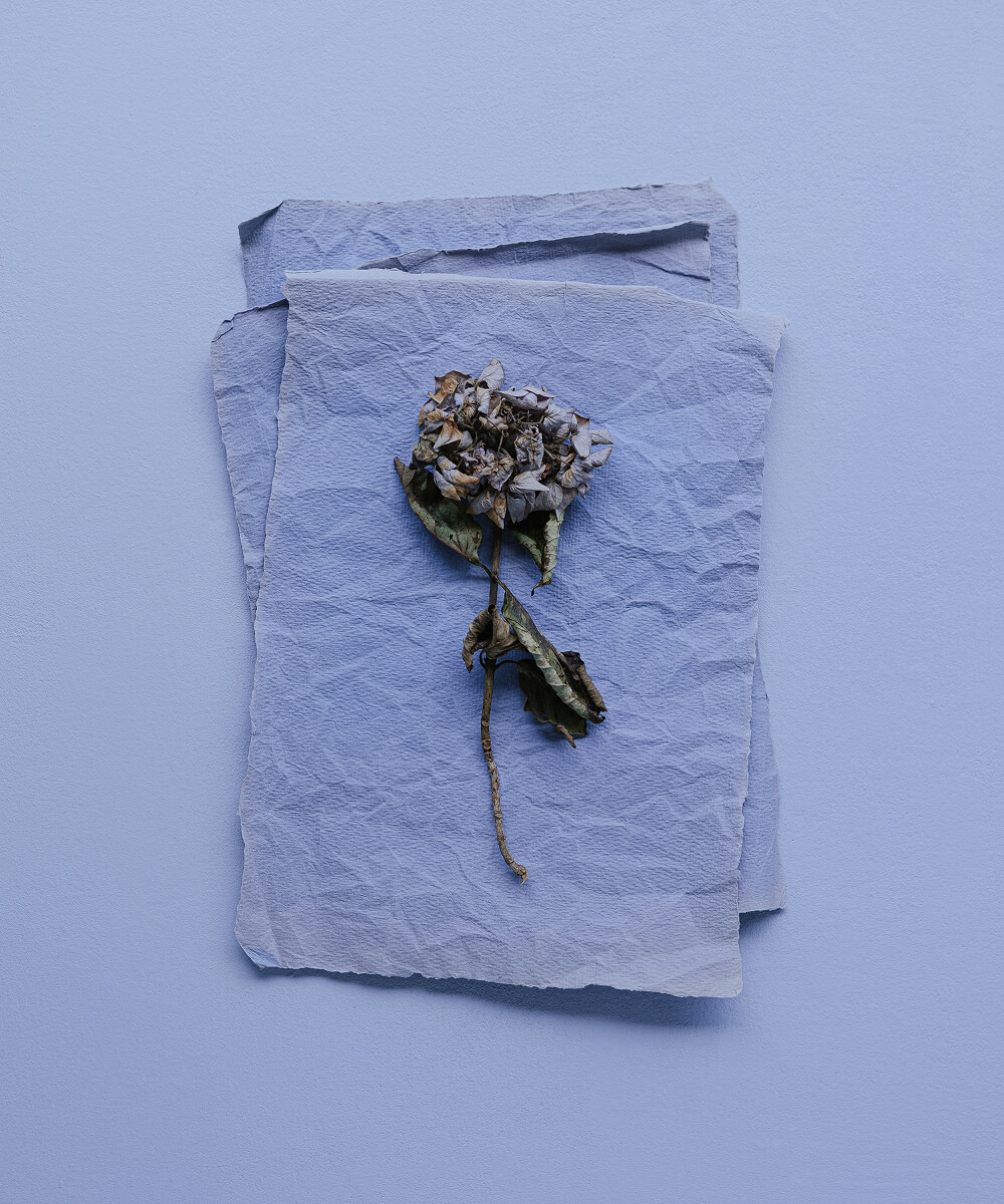 Picture with flowers